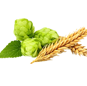 Quality Hops